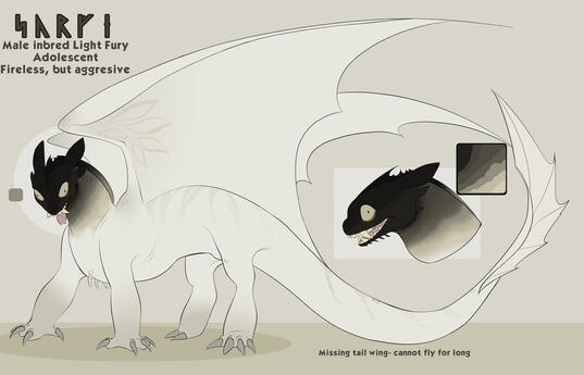 OC ref ( would be 1 front view + added visual notes )